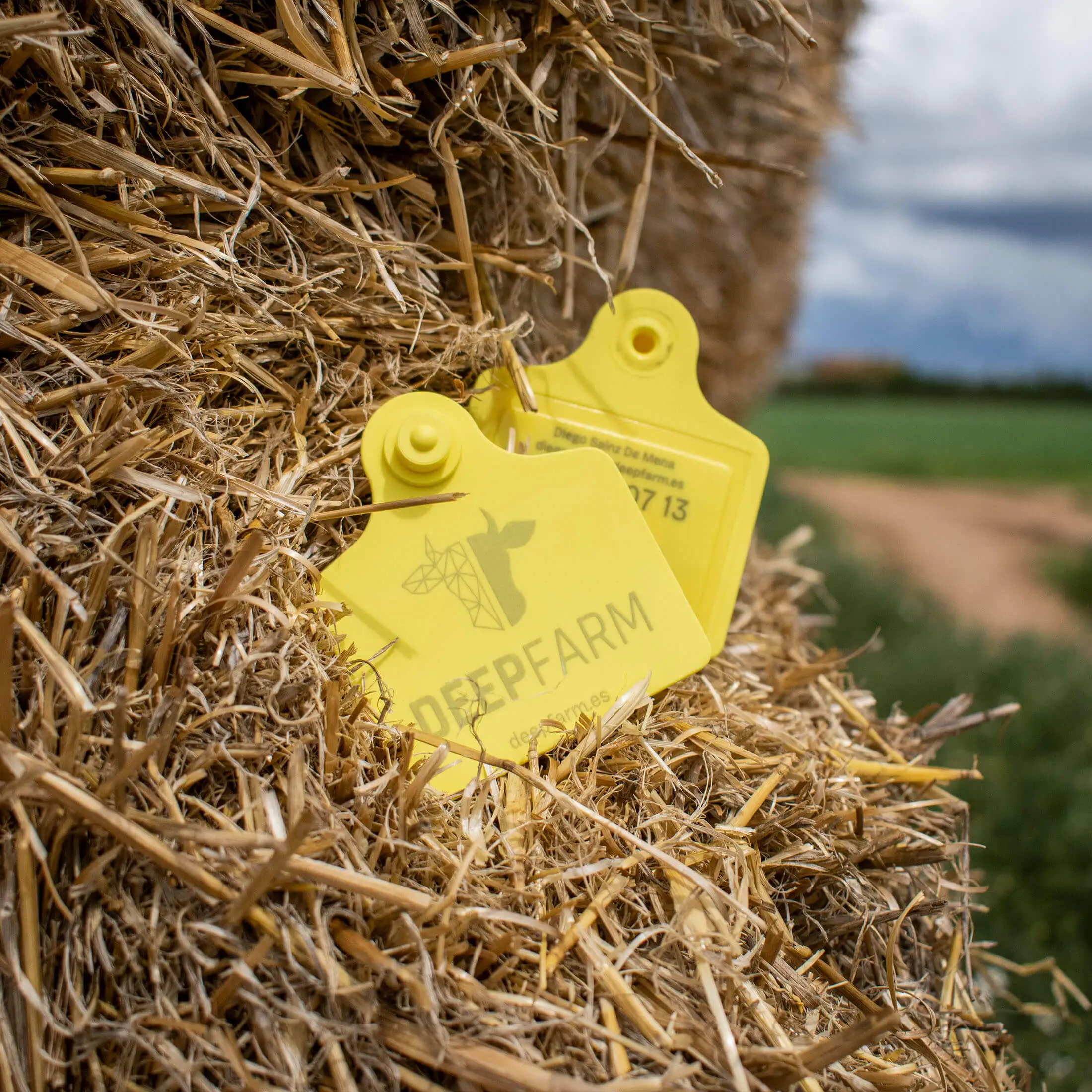 DeepFarm